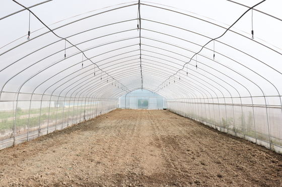 Serre chaude stable de pellicule de polyéthylène de structure/serre chaude végétale de plante de tomate