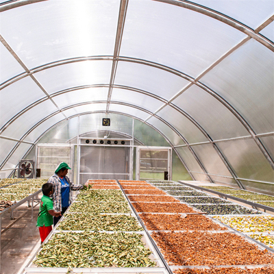 Serre de séchage en milieu contrôlé avec carte PC pour le séchage des herbes et des fruits