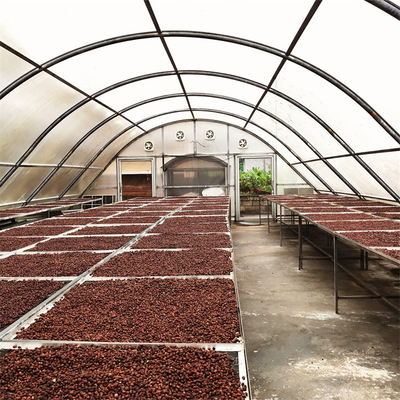 Structure stable Serre pour le séchage des légumes et des herbes avec technologie de ventilation avancée