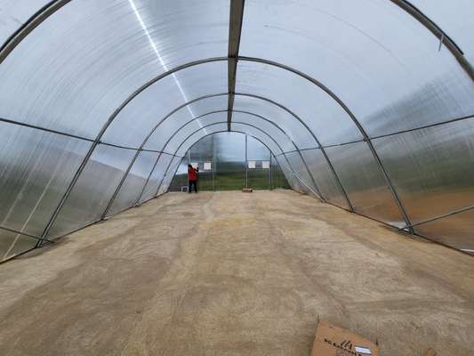Serre de séchage à la température du PC de polycarbonate pour les fruits et légumes