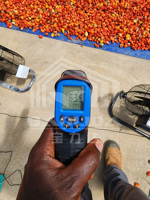 Serre à séchage écoénergétique avec ventilation pour le séchage contrôlé des légumes et des herbes