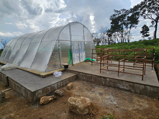 Ventilation avancée et séchage de planche PC Serre pour la conservation des légumes et des herbes