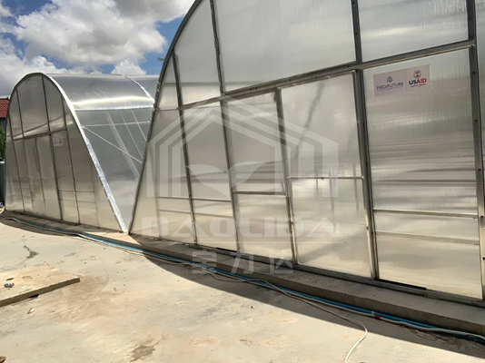 Ventilation avancée et séchage de planche PC Serre pour la conservation des légumes et des herbes