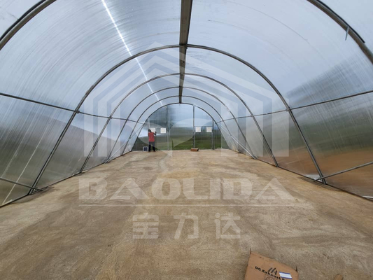 Serre à séchage intelligent personnalisable pour les légumes et les fruits dans un environnement contrôlé
