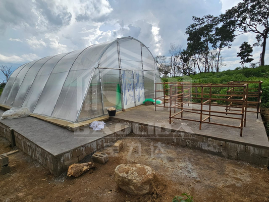 Serre à séchage intelligent personnalisable pour les légumes et les fruits dans un environnement contrôlé