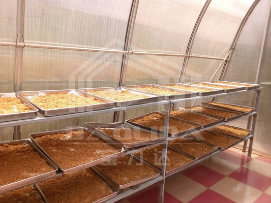 Ventilation avancée et séchage de planche PC Serre pour la conservation des légumes et des herbes