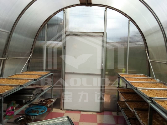 Ventilation avancée et séchage de planche PC Serre pour la conservation des légumes et des herbes