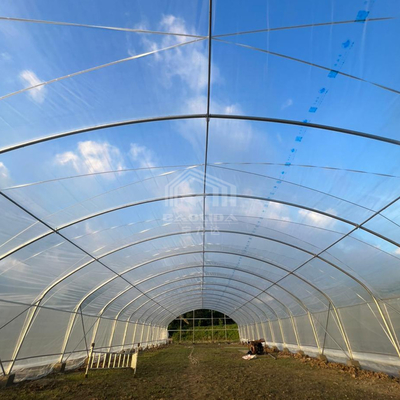 Serre multifonctionnelle en tunnel de 6x15 m avec une transmission lumineuse supérieure