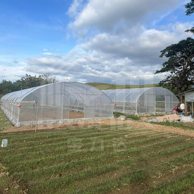 Serre multifonctionnelle en tunnel de 6x15 m avec une transmission lumineuse supérieure