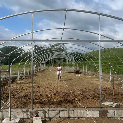 Serre multifonctionnelle en tunnel de 6x15 m avec une transmission lumineuse supérieure