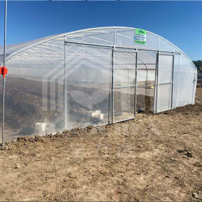 Serre en tunnel économique avec ventilation latérale pour la croissance des plantes