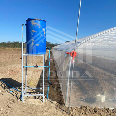 Serre en tunnel économique avec ventilation latérale pour la croissance des plantes