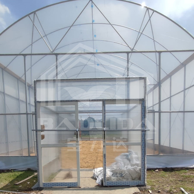 Serre à haute galerie avec structure en acier durable pour l'agriculture