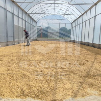 Serre à haute galerie avec structure en acier durable pour l'agriculture