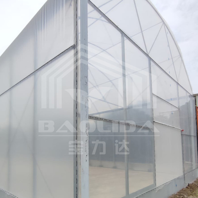 Serre à haute galerie avec structure en acier durable pour l'agriculture
