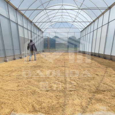 Serre à haute galerie avec structure en acier durable pour l'agriculture