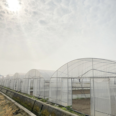 Serre en tunnel de 6x15m pour les projets de culture de fleurs et de légumes