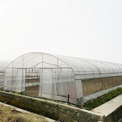 Serre en tunnel de 6x15m pour les projets de culture de fleurs et de légumes
