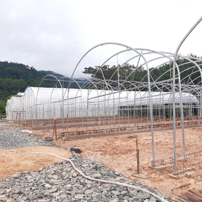 Serre galvanisée avec une isolation optimale