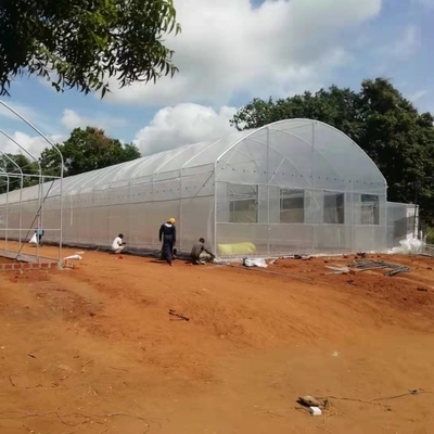 Serre à tunnel élevé pratique pour les solutions agricoles