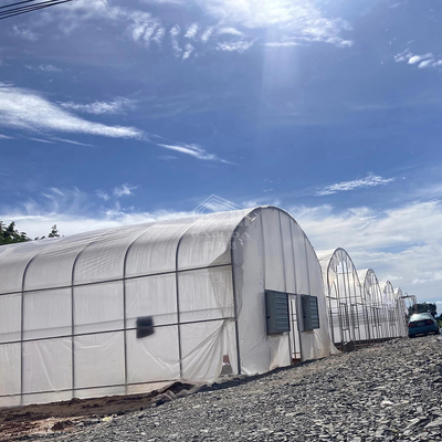 Serre à tunnel élevé pratique pour les solutions agricoles
