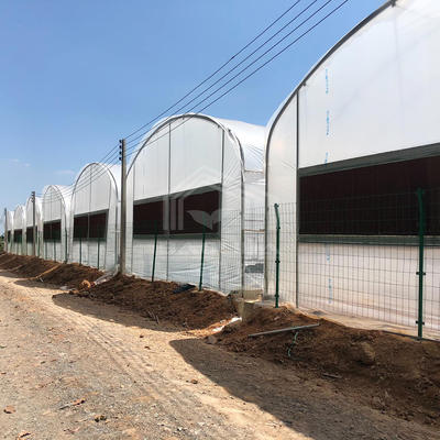 Serre à tunnel élevé pratique pour les solutions agricoles