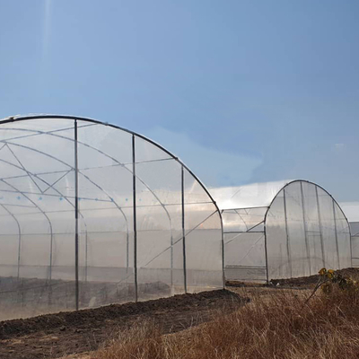 Serre à tunnel rentable avec revêtement en PE pour les légumes et les fleurs