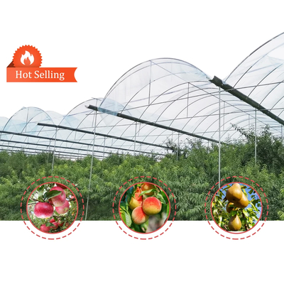 Serre de tunnel de champignons à fruits professionnelle avec film et matériau de couverture de filet d'ombrage