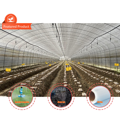 Serre de tunnel de champignons à fruits professionnelle avec film et matériau de couverture de filet d'ombrage