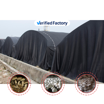 Ventilation manuelle ou électrique personnalisable Serre agricole pour la culture de champignons