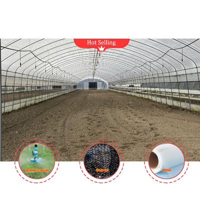 Serre à champignons personnalisable avec ventilation manuelle ou électrique