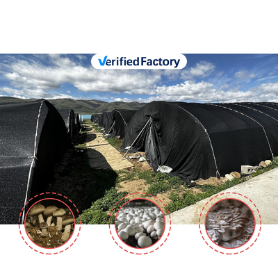 Hauteur latérale de 1,2 à 1,8 m et espace d'arche de 1 à 1,5 m Fungus Poly Tunnel Serre UV protégée