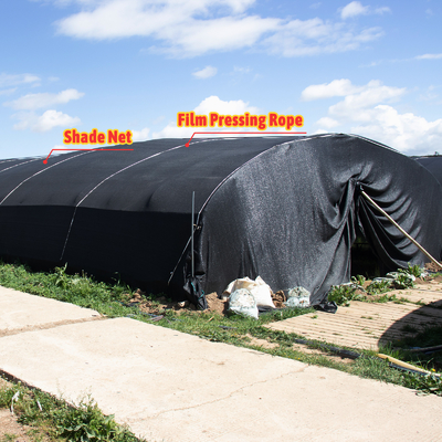 Ventilation manuelle ou électrique en rouleau en polythène agricole recouverte de film de champignon Serre avec structure en acier galvanisé à chaud