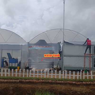 Cultiver des fleurs et des légumes Serre Quonset Hut Conservatoire de la maison de culture de la gouttière reliée à la serre Grandes serres avec ventilation sur le toit