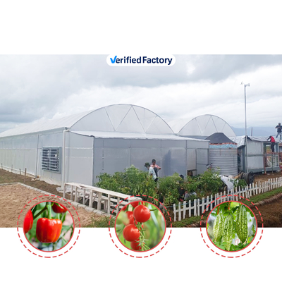 Cultiver des fleurs et des légumes Serre Quonset Hut Conservatoire de la maison de culture de la gouttière reliée à la serre Grandes serres avec ventilation sur le toit