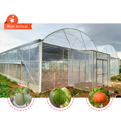 Cultiver des fleurs et des légumes Serre Quonset Hut Conservatoire de la maison de culture de la gouttière reliée à la serre Grandes serres avec ventilation sur le toit