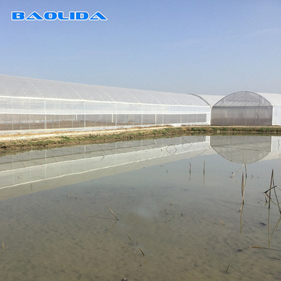 8 à 60 m de longueur, tunnel haut, serre en film plastique, taille personnalisable pour l'agriculture et la production de fleurs