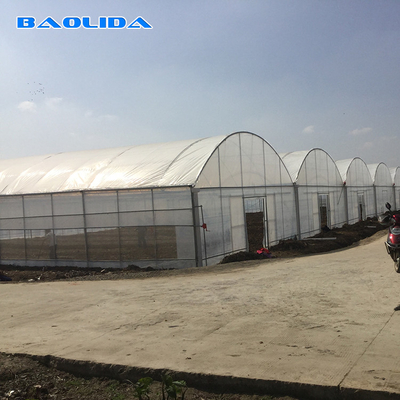 8 à 60 m de longueur, tunnel haut, serre en film plastique, taille personnalisable pour l'agriculture et la production de fleurs