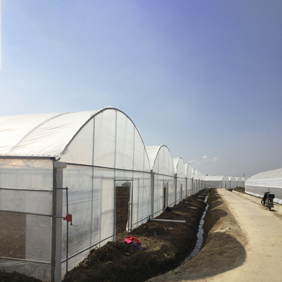 8 à 60 m de longueur, tunnel haut, serre en film plastique, taille personnalisable pour l'agriculture et la production de fleurs