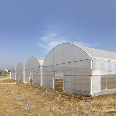 8 à 60 m de longueur, tunnel haut, serre en film plastique, taille personnalisable pour l'agriculture et la production de fleurs