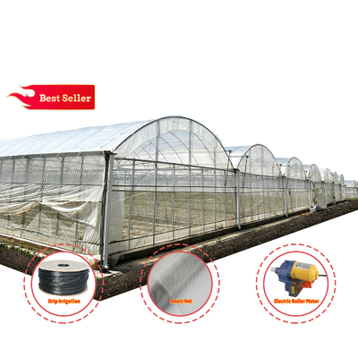 Baolida Système automatique personnalisé Serre Système hydroponique tropical Serre à semis multifonctionnelle