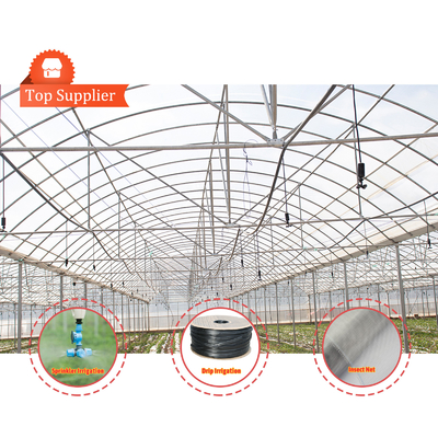 Baolida Système automatique personnalisé Serre Système hydroponique tropical Serre à semis multifonctionnelle