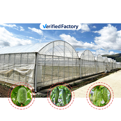 Baolida Système automatique personnalisé Serre Système hydroponique tropical Serre à semis multifonctionnelle
