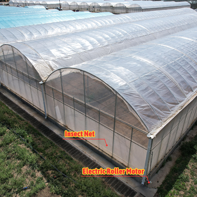 Baolida Système automatique personnalisé Serre Système hydroponique tropical Serre à semis multifonctionnelle