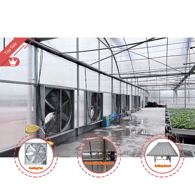 Thermostat Résistant à l'eau Plante de culture Système hydroponique Tunnel Grandes serres pour les fleurs