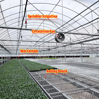Thermostat Résistant à l'eau Plante de culture Système hydroponique Tunnel Grandes serres pour les fleurs