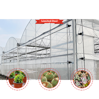 Solution pour l'élevage de légumes 8-60m Taille personnalisable Serre de tunnel agricole avec banc roulant et système d'irrigation