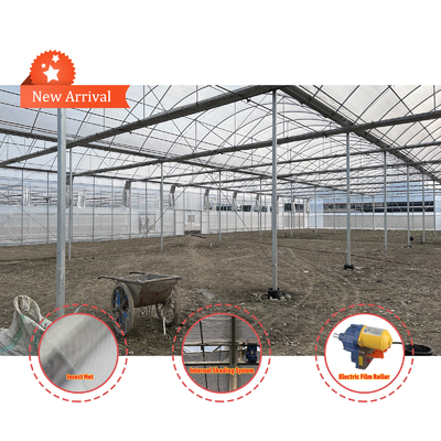 Solution pour l'élevage de légumes 8-60m Taille personnalisable Serre de tunnel agricole avec banc roulant et système d'irrigation