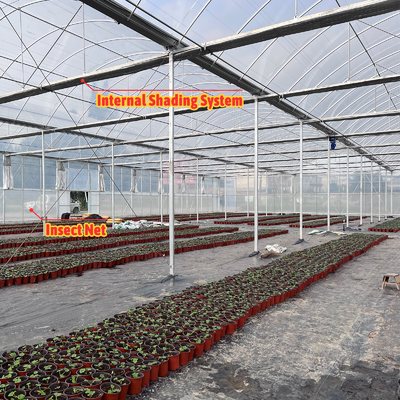 Solution pour l'élevage de légumes 8-60m Taille personnalisable Serre de tunnel agricole avec banc roulant et système d'irrigation