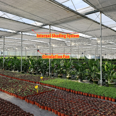 Solution pour l'élevage de légumes 8-60m Taille personnalisable Serre de tunnel agricole avec banc roulant et système d'irrigation